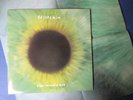 STILTSKIN - The Mind's Eye    rare UK-LP  mit Poster  1994  White Water Rec.