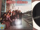 LYNYRD SKYNYRD(PRONOUNCED LEH-NERD SKIN-NERD) ORIGINAL UK FIRST PRESS.