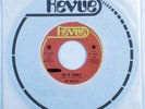 Funk/Sweet Soul 45 LEN WOODS Do It Funky REVUE promo HEAR