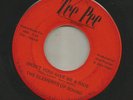 GARAGE PSYCH -ELEMENTS OF SOUND- WONT YOU GIVE ME A RIDE-HEAR 1969 WISC.TEE PEE
