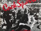 COCK SPARRER 'RUNNIN' RIOT' DECCA PICTURE SLEEVE PROMO - VERY RARE PUNK VINYL 7