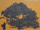 Jack Johnson ?– In Between Dreams Vinyl, LP, Album,