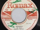 JIMMY RILEY - PROPHESY - ROMAX ( ROOTS 7 )