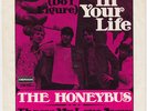 HONEYBUS Throw My Love Away MOD DANCER Germany 45 Do I Figure PSYCH Pete Dello