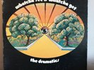 Whatcha See Is Whatcha Get by The Dramatics 1971 Vinyl Volt Records 1st Press
