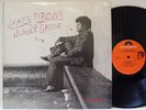 JAMES BROWN - In the Jungle Groove LP (RARE 1986 US Pressing on POLYDOR)