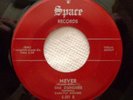 DUNDEES 45 Never / Evil one SPACE VG++ RARE  Doowop Kz249