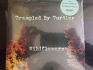 RSD 2018 - TRAMPLED BY TURTLES - WILDFLOWERS  TOM PETTY 7