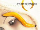 A Perfect Circle - Thirteen Step (180gr. Limited Edition Colour Vinyl) [2 LP]