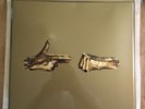 NEW Run The Jewels Stay Gold Collectors Box RSD 2018 Plus Button