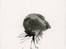 JÓNSI & ALEX (SIGUR ROS) - All Animals LP RSD RECORD STORE DAY 2018 LTD