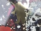 Pink Floyd Piper At The Gates LP Record Store Day 2018 RSD 2018