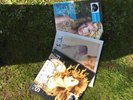 Taylor Swift X3 RSD Fearless, Debut And 1989