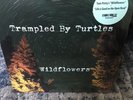 Trampled By Turtles RSD 2018 Record Store Day 7