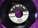 Rare Doowop? Jerry Warren and the Pets Monkey Walk