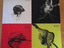 SIGUR ROS JONSI ALEX SOMERS Record Store Day RSD 2018 All 4 LPs  Set