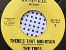 Northern Soul 45 The Trips-There's That Mountain/Love Can't -Soundville Reissue