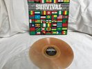 LP – BOB MARLEY & THE WAILERS / SURVIVAL / BROWN VINYL  / TOP CONDITION