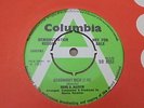 Hank B Marvin - Goodnight Dick 1969 UK 45 COLUMBIA DEMO THE SHADOWS