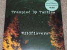 Trampled By Turtles: Wildflowers Tom Petty Cover 7
