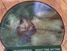 SKY FERREIRA-NIGHT TIME, MY TIME-NUDE PICTURE DISC-RECORD STORE DAY-UNPLAYED-LP
