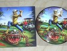 IRON MAIDEN – The Evil in Florida, PICTURE DISC w/COVER, limited edition, NEW