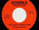 Modern Soul 45 - Sharnell Morton - You Are My Shining Star - Soneka - VG++ mp3