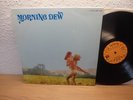 MORNING DEW Original Vintage 1970 Roulette LP Psych Garage Fuzz