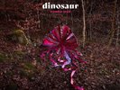 DINOSAUR Wonder Trail LP Vinyl NEW PRE ORDER 04/05/18