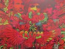 CREAM - Disraeli Gears   VINYL LP STEREO 594 003