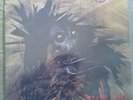 Protector - Urm the mad firstpress, orginal inner sleeve, Atom H Records 1989