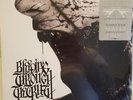 Bleeding Through The Truth 12