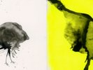 Sigur Ros Alex Route One / Untitled / Liminal Remixes / All Animals Vinyl Bundle