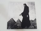 The Afghan Whigs - In Spades Vinyl LP #V51D