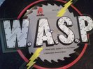 WASP - Animal  F**k Like A Beast Show No Mercy Shape Picture Disc 45 PKUT 109