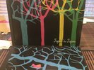 TAPES 'N TAPES - THE LOON (XLLP202) w/Inner & EX VINYL
