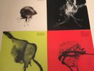 SIGUR ROS 4xLP Set Route One Liminal All Animals Jonsi Alex Vinyl RSD 2018 NEW