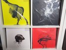 Sigur Ros - RSD 2018 - rout one - Liminal remixes - all animals - Alex Summers