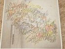 Vinyl Record - The National High Violet - Never Played