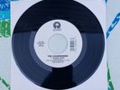 The Cranberries Zombie 45 RPM Record