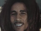 African Herbsman Bob Marley vinyl LP album record UK FA4130821 FAME 1983