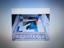 New Order poster 1981 , Peter Saville design - Everything's Gone Green