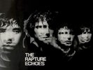 THE RAPTURE - Echoes LP Vinyl Excellent Condition 2003 Rare