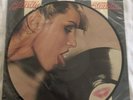 vinyl records Blondie Parallel Lines Picture Disc