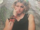 Madonna Rare Vinyl Borderline Never Played Picture Unusual Shape
