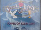 MODERN SOUL GOSPEL LP SPIRIT OF LOVE Power Of Your Love BIRTHLIGHT Shrink