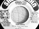 EDDIE CURTIS SUMMER LOVE Modern Soul Funk Boogie DISCO Rare SHERE-KAHN 45 NM