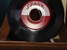 R&B Doo Wop 45 ROBINS Riot In Cell Block #9 SPARK  EX- Beautiful Copy