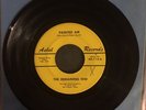 RARE TEXAS PSYCH GARAGE The Remaining Few Painted Air Askell Holy Grail Texas 