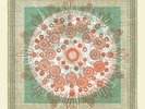 Trampled by Turtles - Life Is Good On The Open Road [New Vinyl LP]